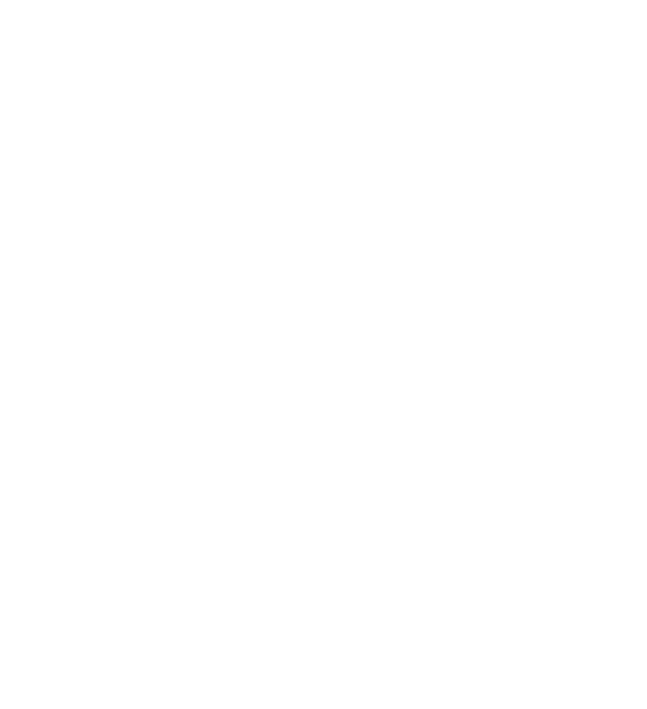 WSSA Agency